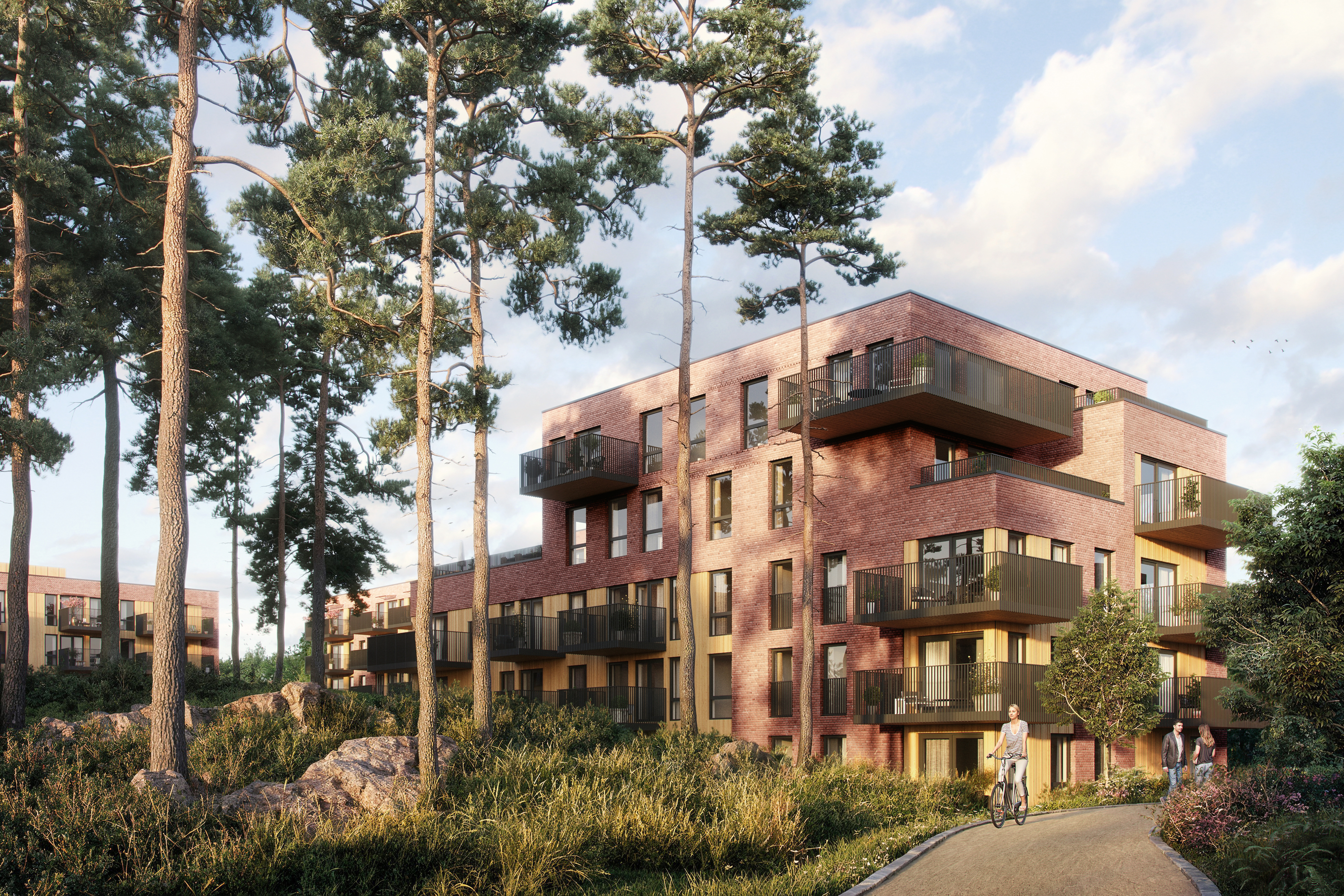 1292 34 SEL e 01 Hill R011