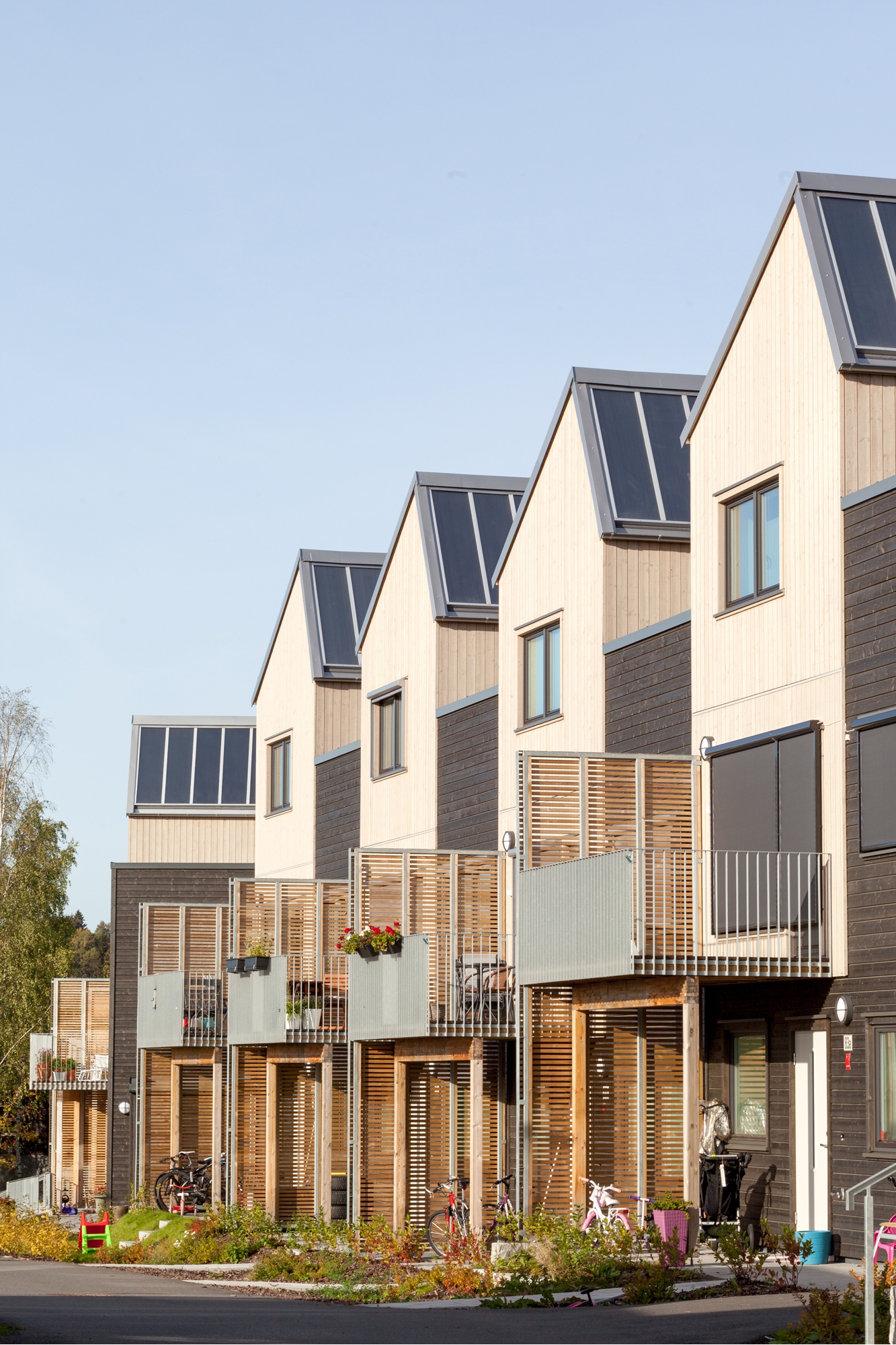 Stenbratlia 0620 Edit